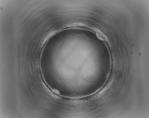X0000075850945200609151157