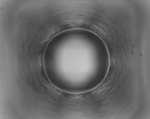 X0000075851012200609151155