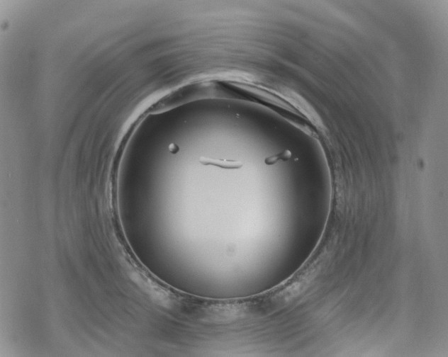 X0000075851044200609151156
