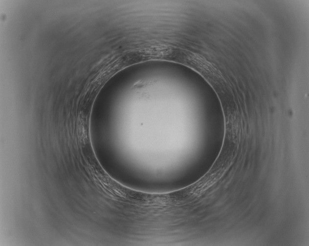 X0000075851058200609151155