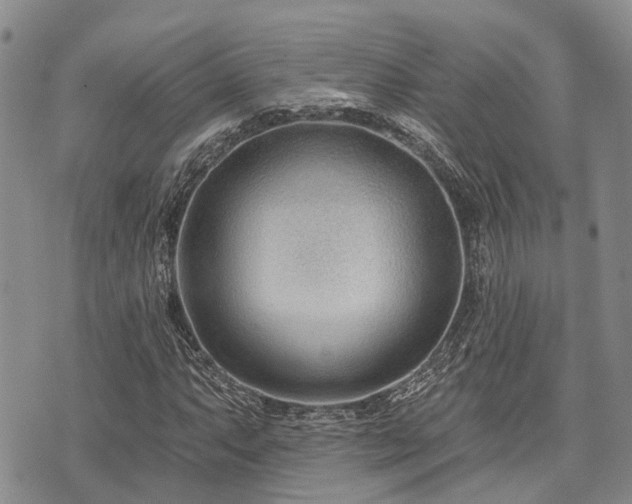 X0000075851063200609151155