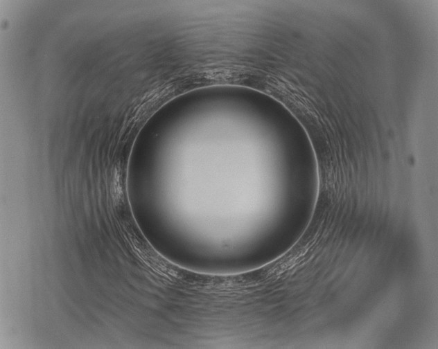 X0000075851106200609151154