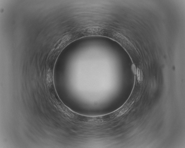 X0000075851107200609151154
