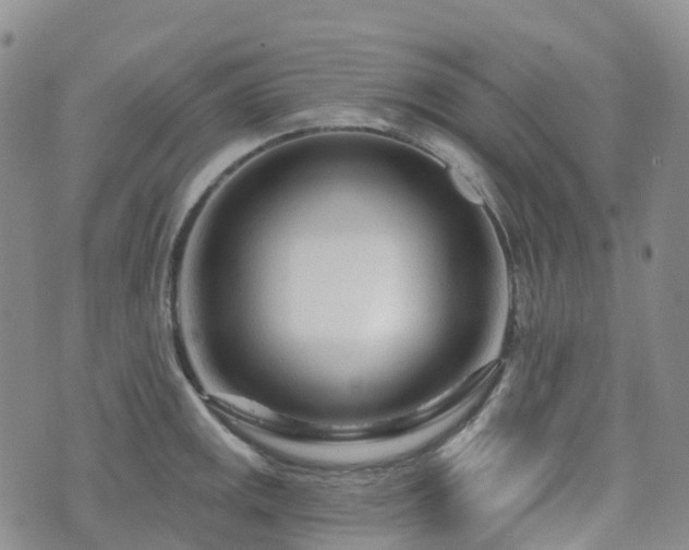 X0000075851141200609151154