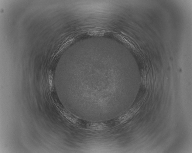 X0000075851154200609151154