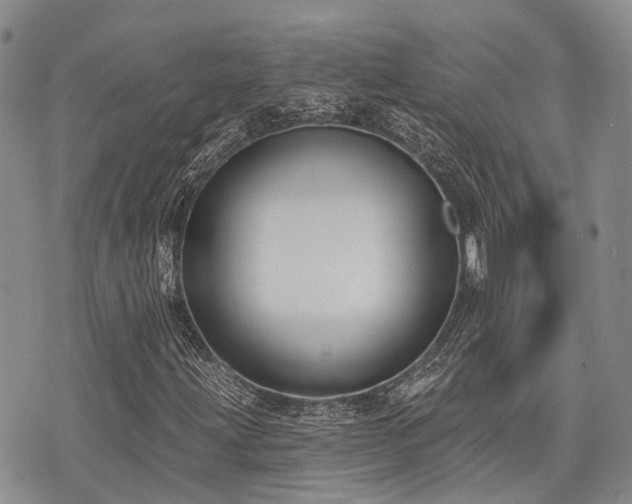 X0000075851203200609151152