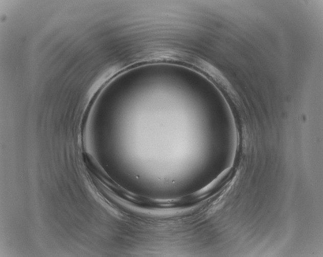 X0000075851234200609151153