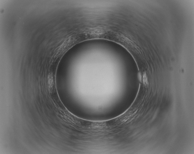 X0000075851299200609151151
