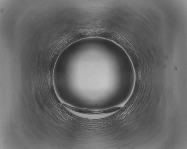 X0000075851300200609151151