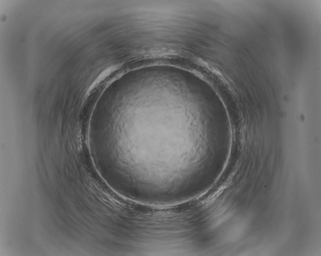 X0000075851306200609151151