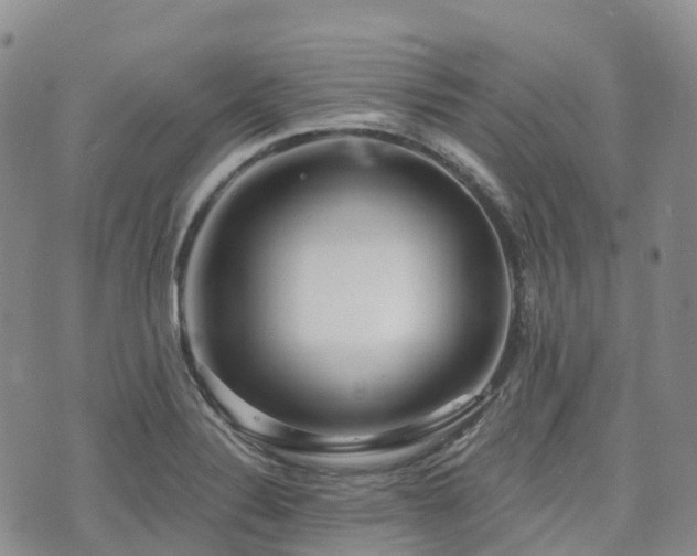 X0000075851324200609151151