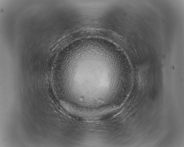 X0000075851397200609151149