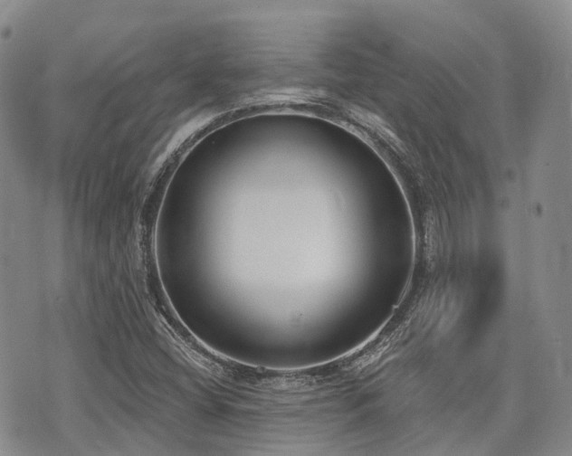X0000075851404200609151149