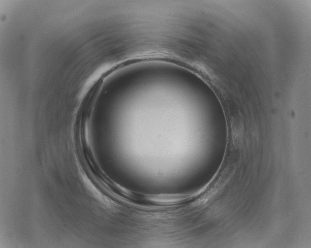 X0000075851422200609151149