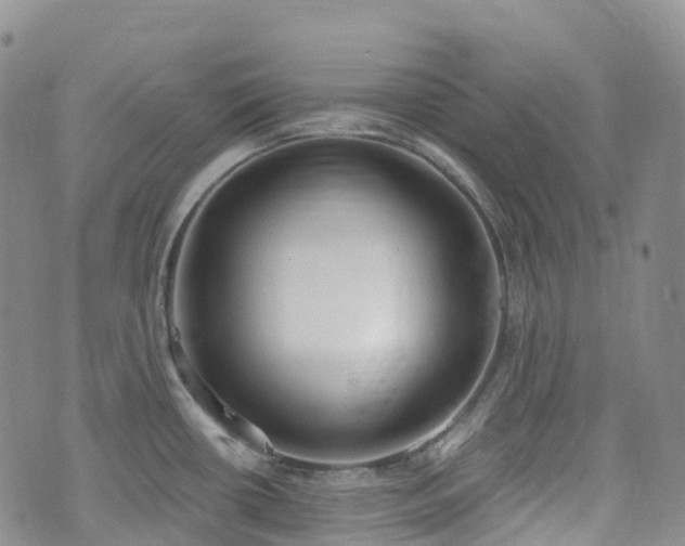 X0000075851434200609151150