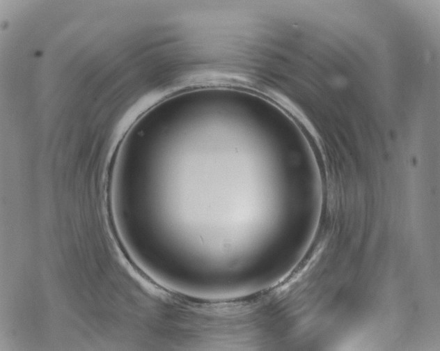 X0000075851437200609151150