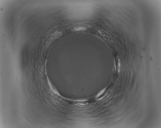 X0000075851441200609151149