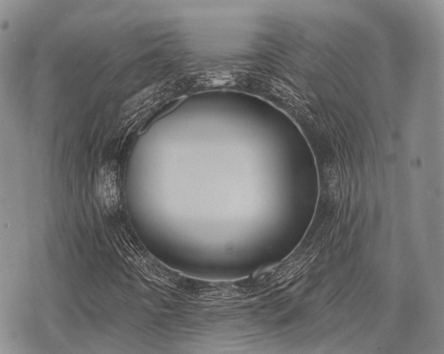 X0000075851442200609151149