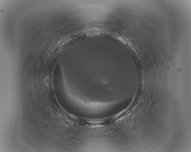X0000075851445200609151149