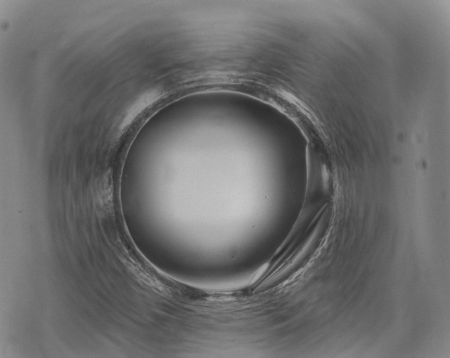X0000075851450200609151149
