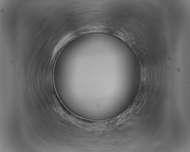 X0000075850004200609221742