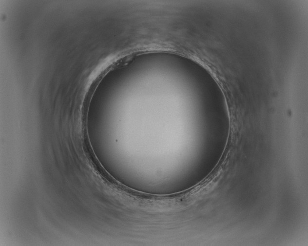 X0000075850008200609221742