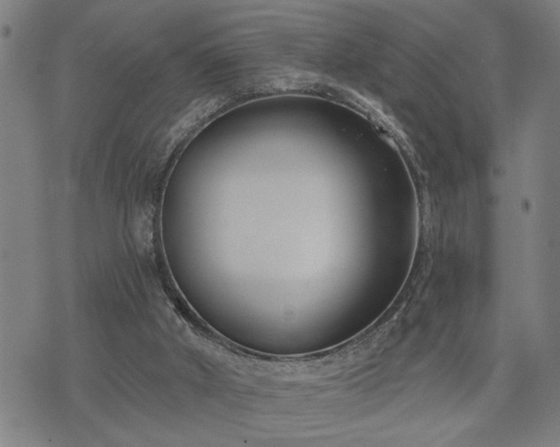 X0000075850010200609221742