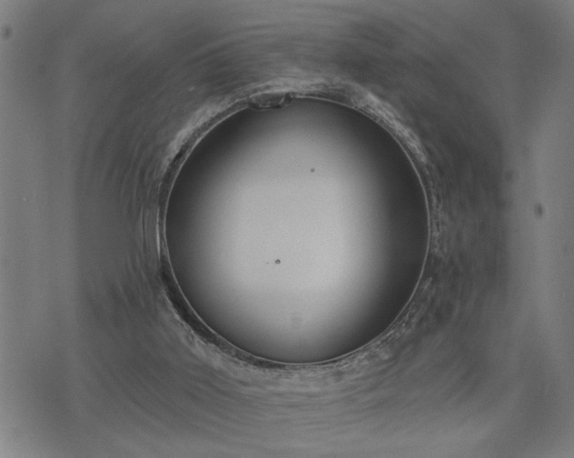 X0000075850011200609221742