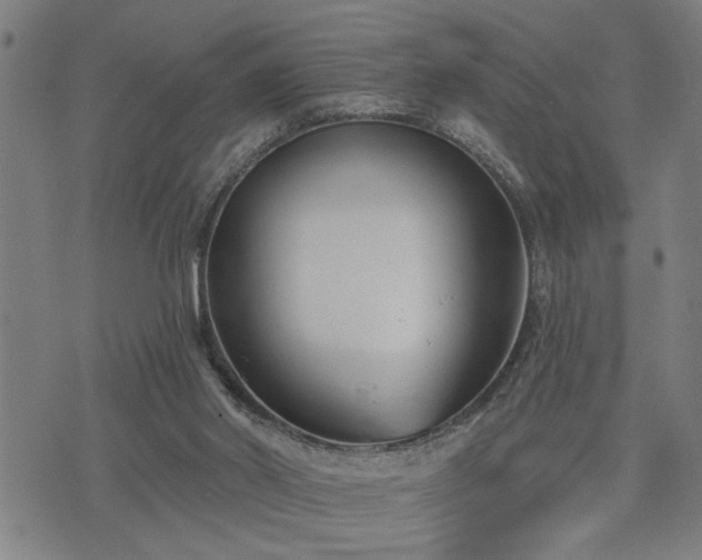 X0000075850014200609221742
