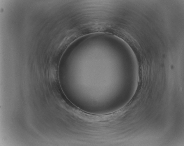 X0000075850035200609221741