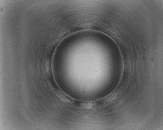 X0000075850131200609221740