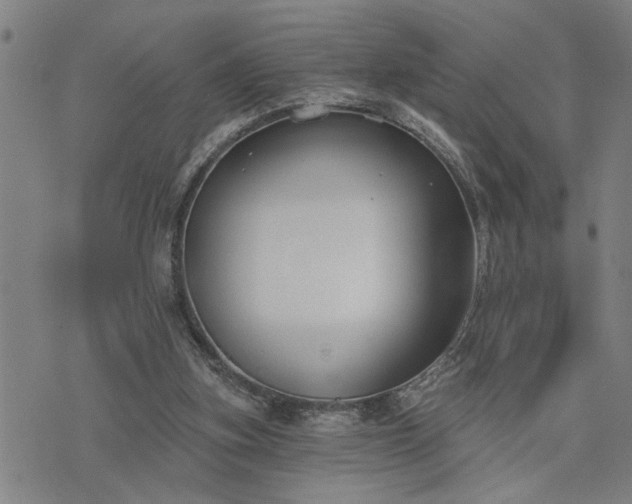 X0000075850155200609221739