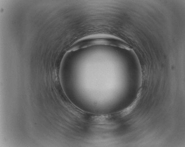 X0000075850182200609221740