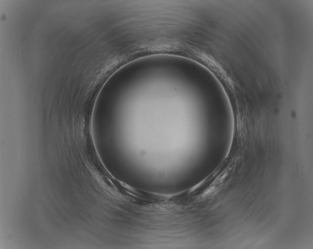 X0000075850201200609221739