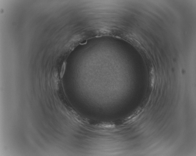 X0000075850223200609221738