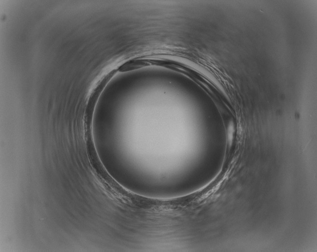 X0000075850244200609221737