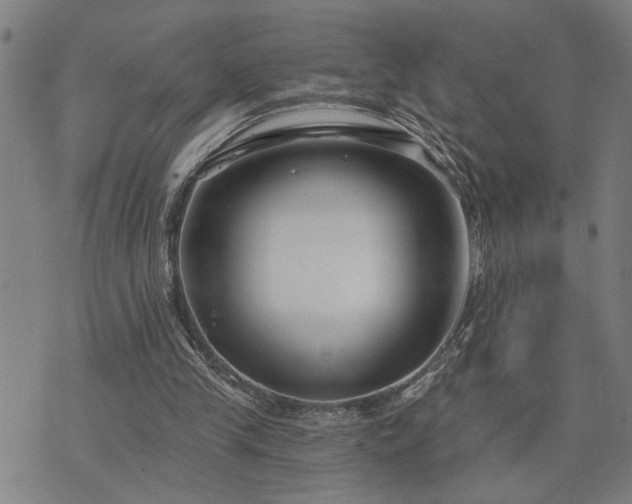 X0000075850245200609221737