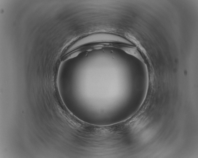 X0000075850249200609221737