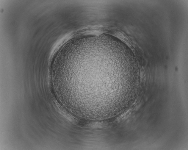 X0000075850293200609221737