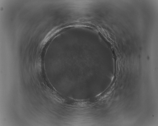X0000075850295200609221737