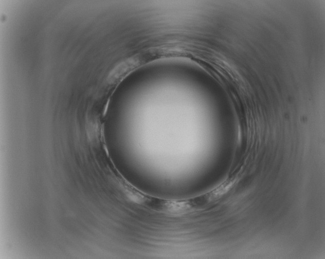 X0000075850333200609221737