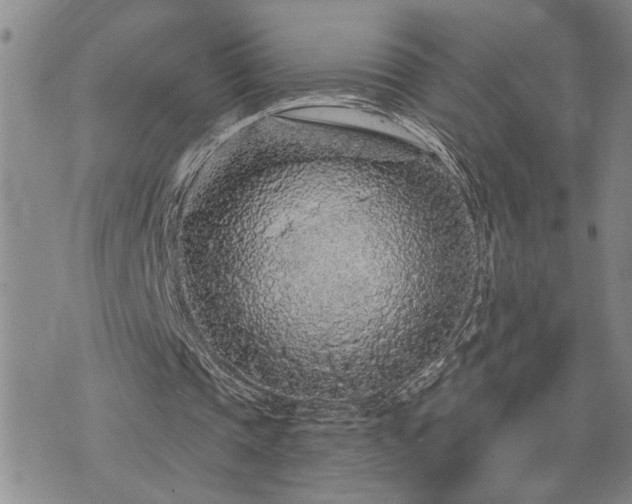 X0000075850337200609221736