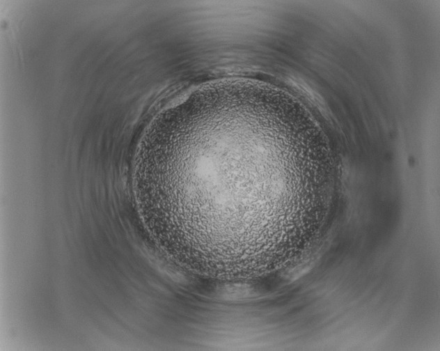 X0000075850361200609221736