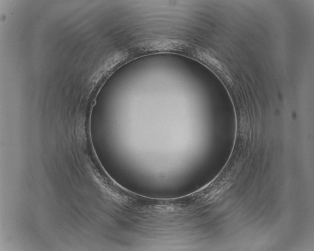 X0000075850394200609221736