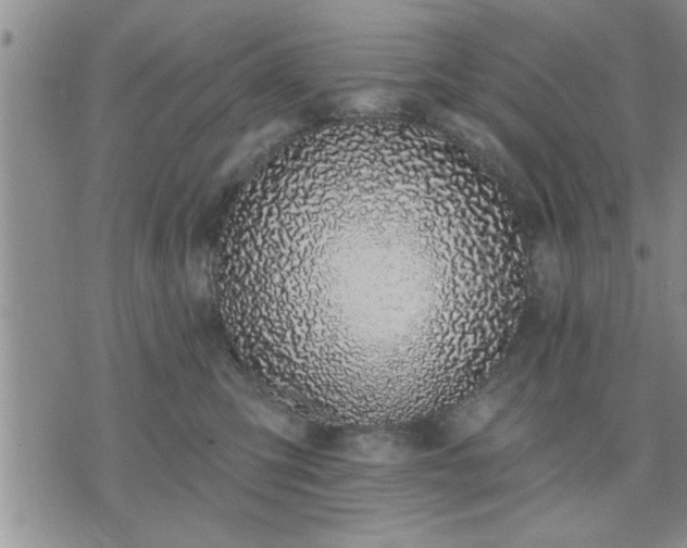 X0000075850423200609221735