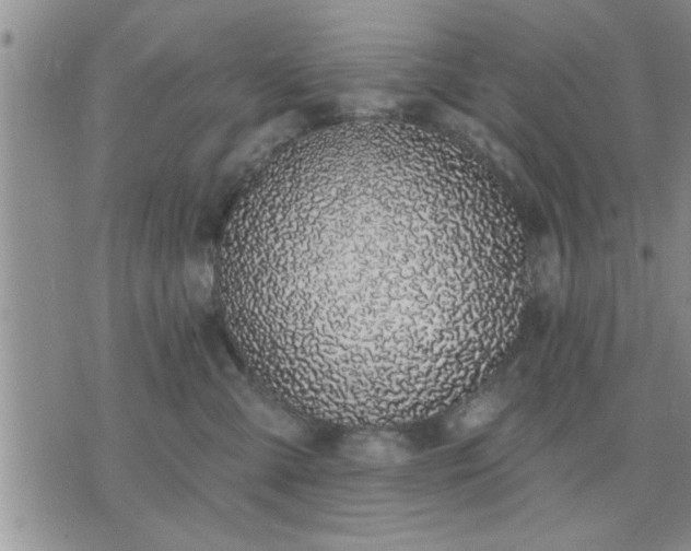 X0000075850427200609221735
