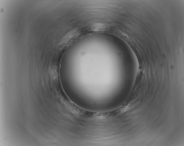 X0000075850620200609221732