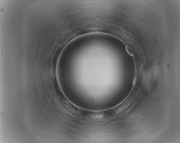 X0000075850651200609221731