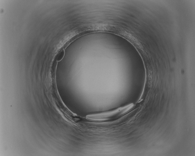 X0000075850674200609221731