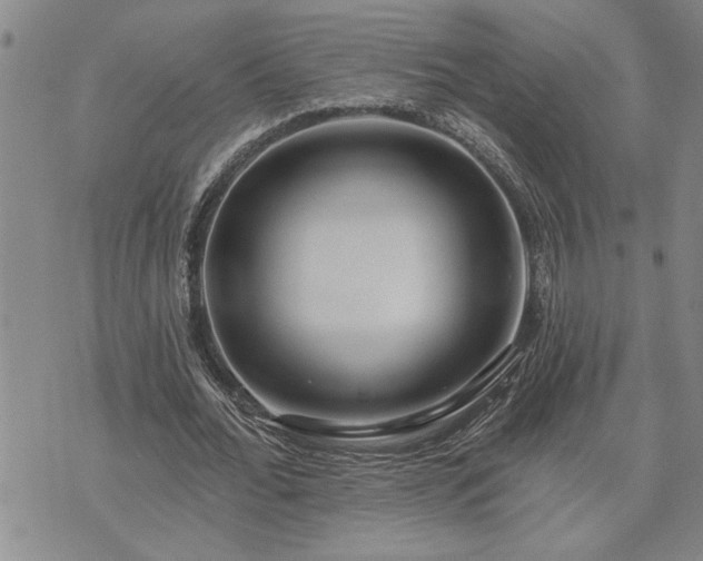 X0000075850676200609221731